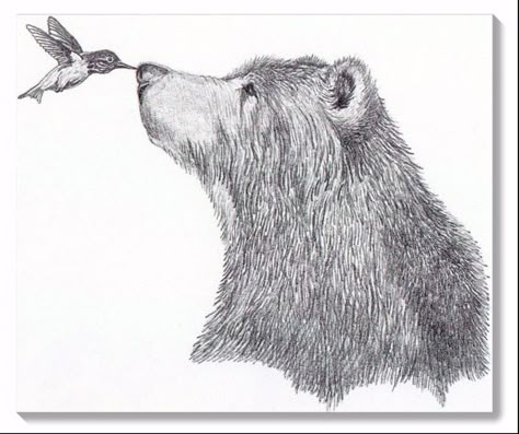 Portraits Pencil, Portrait Au Crayon, Drawing Realistic, Pencil Portraits, Draw Realistic, Pencil Drawing Tutorials, Bear Tattoos, Bear Drawing, Bear Tattoo