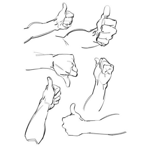 Thumbs Up Drawing, Hand References, Artist Reference, Human Anatomy Drawing, Hand Drawing Reference, Human Anatomy Art, Anatomy Sketches, Body Reference Drawing, Hand Reference