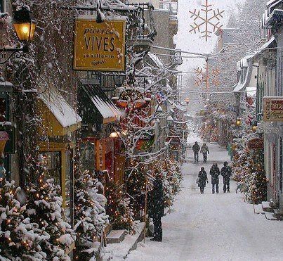 Winter in Michigan can be a lot of fun, if you give it a shot. 11 Unforgettable Places In Michigan That Everyone Must Visit This Winter Chateau Frontenac, Dream Christmas, Winter Schnee, Romantic Travel Destinations, Snowy Day, Quebec City, Snow Scenes, Quebec Canada, Romantic Travel