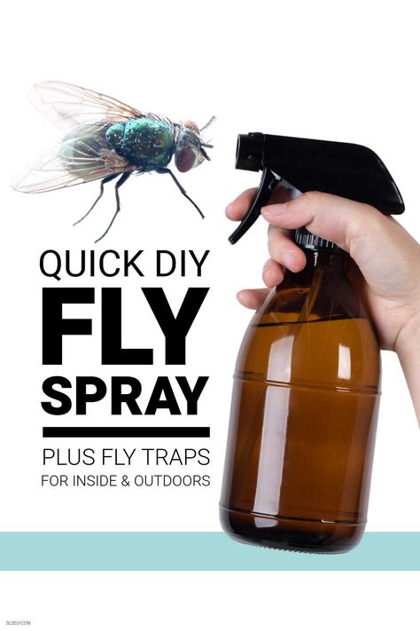 DIY fly sprays and traps you can make quickly and easily to get rid of flies indoors and outside. #flyspray #flytrap Fruit Fly Spray, Diy Flies Repellent, Fly Repellant Diy, Flies Trap Diy, Fly Deterrent, Homemade Fly Spray, Homemade Fly Traps, Natural Fly Repellant, Killing Flies