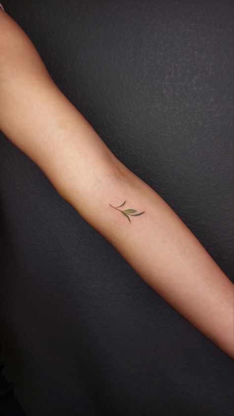 #tattoo #tattooideas #tattooart #tattoosforwomen #tattoodesign #minimalist #minimalisttattoos #plant #planttattoo #leaves #coloredtattoos #tinytattoo #feminist #planttattoo #armbandtattoo Tiny Plant Tattoo, Green Leaf Tattoo, Minimalist Plant Tattoo, Plant Tattoo, Red Tattoos, Tiny Plants, Flower Tattoo Designs, Line Tattoos, Armband Tattoo