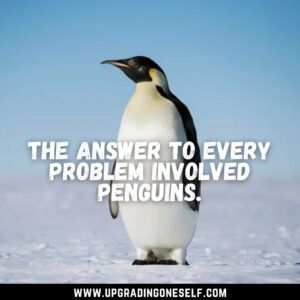 Top 15 Cool Quotes About Penguin That Will Make You Cheerful Penguin Quotes, Socially Awkward Penguin, Snow Quotes, Cool Quotes, Leopard Seal, Penguin Illustration, Wil Wheaton, John Ruskin, Carla Gugino