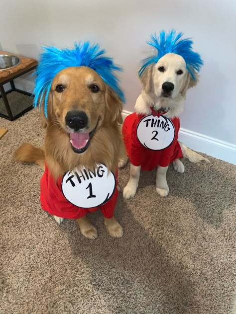 Thing one and thing two dog halloween couple costume Thing One And Thing Two Dog Costumes, Matching Dog Halloween Costumes For 2 Dogs, Cute Dog And Human Halloween Costumes, Matching Costumes For Dog And Owner, Dog Mom And Dog Halloween Costumes, Person And Dog Halloween Costumes, Dog Pair Halloween Costumes, Matching Dog Costumes For 2 Dogs, Couple And Two Dogs Halloween Costume