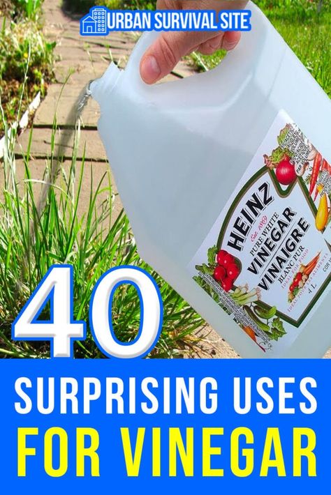 40 Surprising Uses For White Vinegar Toilet Hard Water Stains, Types Of Medicine, Vinegar Cleaning Hacks, Vinegar Hacks, Uses For White Vinegar, Kids Survival Skills, Uses For Vinegar, Homestead Style, Survival Prep