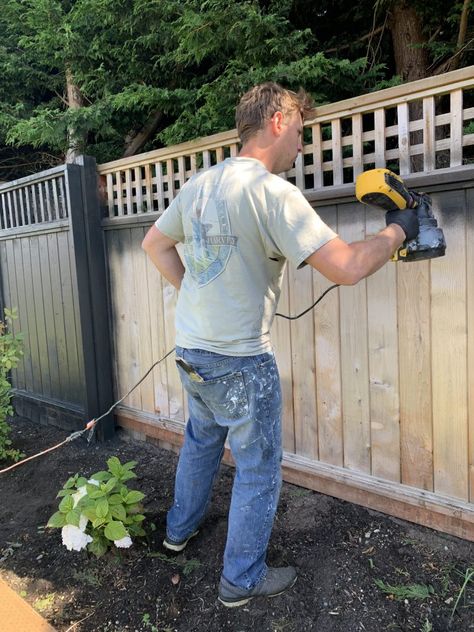 Black Wood Fence, Staining Wood Fence, Fence Around Pool, Modern Wood Fence, Cedar Wood Fence, Designing A Garden, Garden From Scratch, Diy Backyard Fence, Black Wood Stain