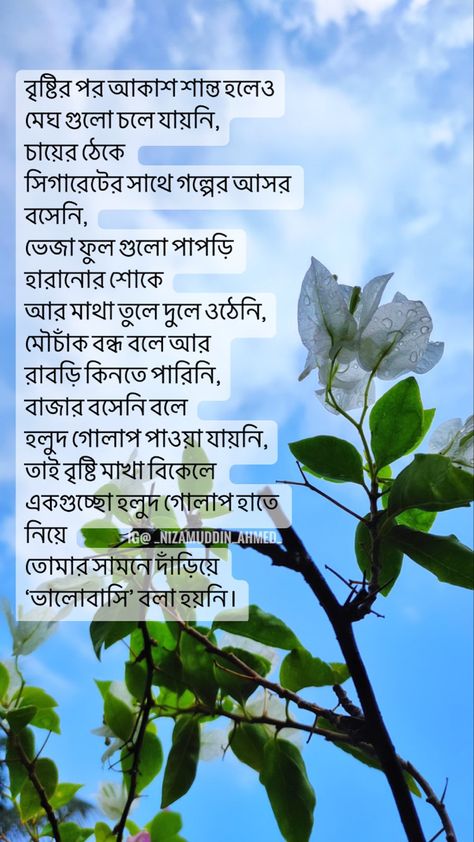 A bengali poem about love, feelings and emotions Bengali Love Poem, Bengali Poems, Bangla Love Quotes, Love Poem, Love Poems, Love Quotes, Inspirational Quotes, Quotes