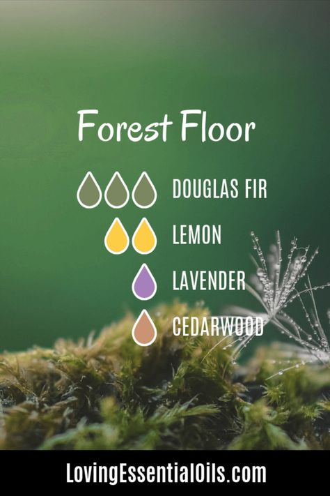 The Forest Floor Diffuser Blend combines the invigorating scent of Douglas Fir and Lemon with the calming aroma of Lavender and Cedarwood essential oils, creating a forest-inspired ambiance that rejuvenates the senses and promotes relaxation. Immerse yourself in the refreshing fragrance of a lush forest, with the perfect balance of uplifting citrus notes and soothing earthy undertones. #lovingessentialoils #aromatherapy #aromatherapist Douglas Fir Diffuser Blend, Thyme Essential Oil Diffuser Blends, Douglas Fir Essential Oil Blends, Fir Essential Oil Diffuser Blends, Pine Diffuser Blend, Eucalyptus Diffuser Blends, White Fir Essential Oil, Herbal Diy, Herbal Skincare