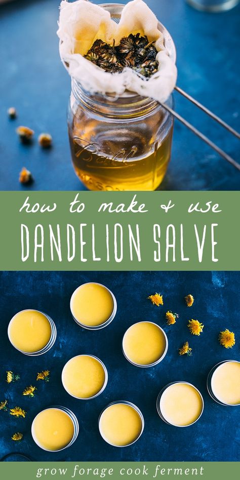 Homemade Medicinal Remedies, Dried Dandelion Recipes, All Natural Allergy Remedies, Diy Crafts With Nature, Diy Dandelion Salve, Dandelion Herbal Uses, Home Made Salve, Dog Safe Simmer Pot, Home Made Garden Ideas