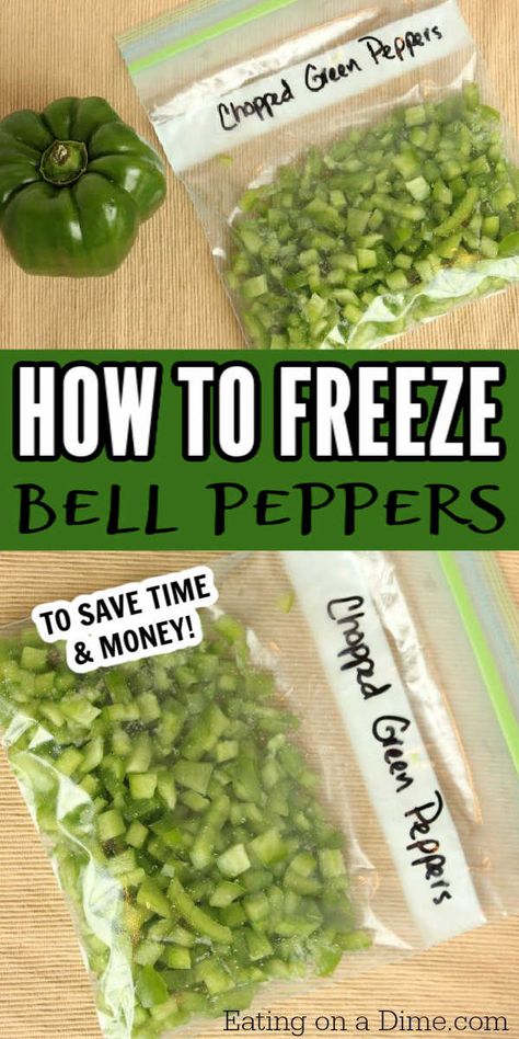 Freeze Bell Peppers, How To Freeze Peppers, Freezing Green Peppers, Green Bell Pepper Recipes, Freeze Peppers, Preserve Peppers, Freezing Veggies, Freezing Bell Peppers, Freezing Food Guide