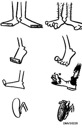 Cartoon Feet Drawing Character Design References, Cartoon Feet Design, Cartoon Legs Drawing, Foot Draw, Cartoon Legs, Storyboard Examples, Feet Drawing, Storyboard Ideas, Storyboard Illustration