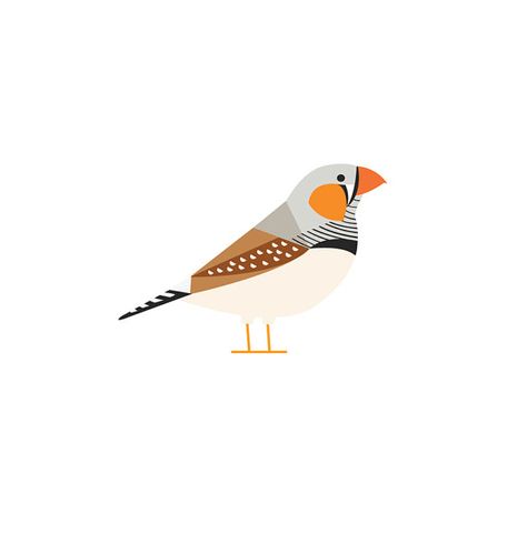 Zebra Finch postcard print by watersounds on Etsy Finch Drawing, Zebra Finch, Postcard Printing, Illustrations And Posters, Pottery Painting, Hand Illustration, Bird Art, Animal Drawings, Animals And Pets