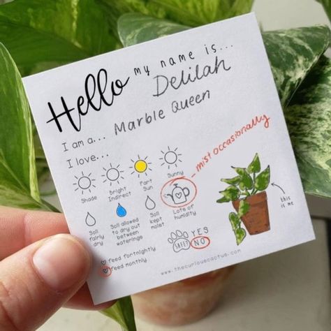 Plant Tags Diy, Plant Care Tags, Plant Drawings, Tags For Gifts, Plant Notes, Monthly Printable, Plant Care Instructions, Plant Journal, Plant Tags