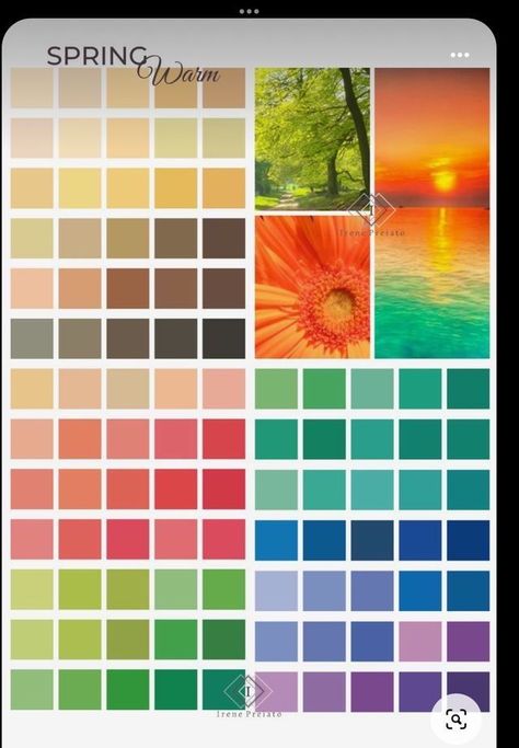 Spring Warm Palette, Spring Color Analysis Palette, Spring Palette Outfits, Spring Color Analysis, True Spring Palette, Warm Spring Palette, Library Design Ideas, Library Video, Warm Spring Color Palette