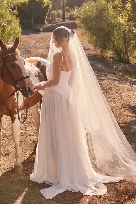 Niche Wedding Dress, Romantic Country Wedding Dresses, Wedding Dress Corset With Sleeves, Timeless Wedding Dresses Lace, Coastal Cowgirl Wedding Dress, Wedding Dress For Intimate Wedding, Spring Outdoor Wedding Dress, Drop Waisted Wedding Dress, Ballerina Inspired Wedding Dress