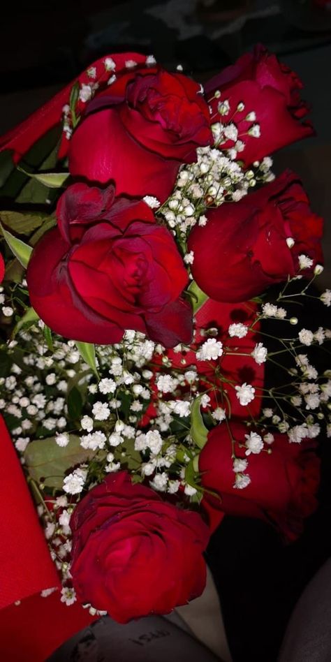 Rosé Snapchat, Love Is Beautiful, Rose Flower Photos, Love Rose Flower, Red Roses Wallpaper, Luxury Flower Bouquets, Rose Flower Pictures, Red Rose Bouquet, Boquette Flowers