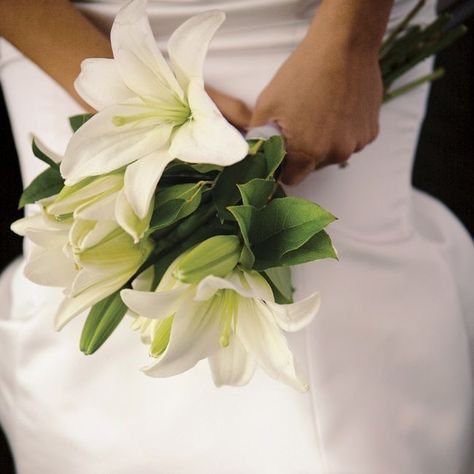 White Lily Bouquet, Brides Flowers Bouquet, Lily Bridal Bouquet, Simple Wedding Bouquets, Lily Wedding, Lily Bouquet, Hand Bouquet, White Wedding Bouquets, White Wedding Flowers