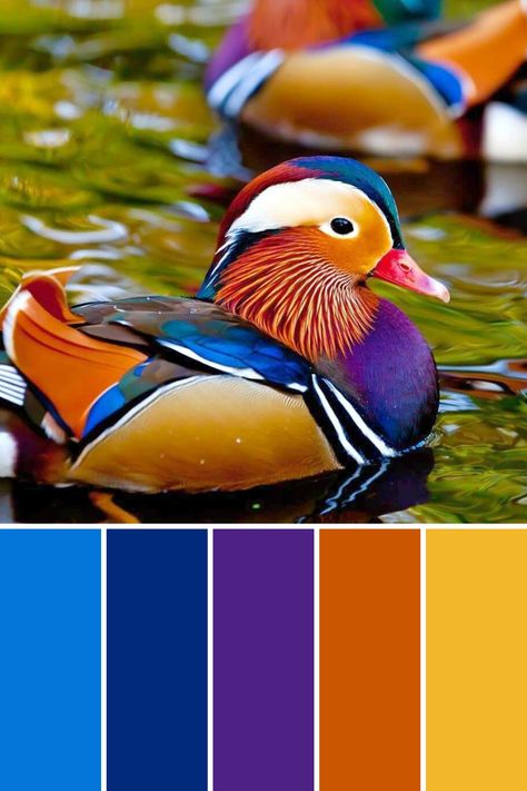 Mandarin Duck palette Bright Primary Color Palette, Colors That Go With Teal, Marionette Art, Bird Drawing Easy, Drawing Easy Pencil, Simple Bird Drawing, Shading Pencil, Drawing S, Wardrobe Colors