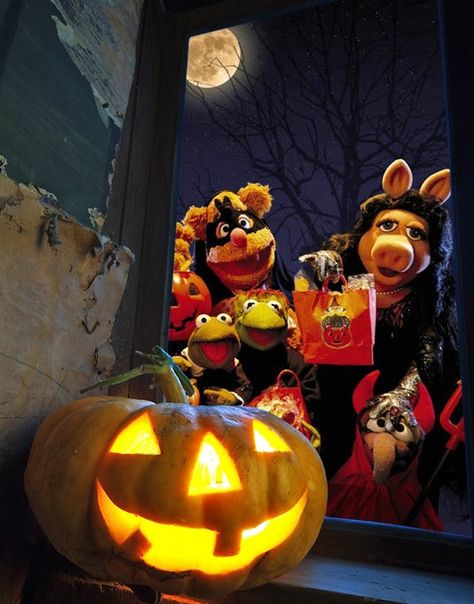 Halloween Muppets Muppet Halloween, Muppets Halloween, Halloween Muppets, The Muppets Animal, The Muppets Gonzo, Pumpkin Carver, Fozzie Bear, The Muppets 2011, Rose And The Doctor