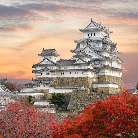 There are only 12 remaining original castles left in Japan - that is, feudal era castles that have survived into the modern era. Which ones should be at the top of your must-see Japan list? Japan Travel Destinations, Himeji Castle, Chateau Medieval, Japanese Castle, Japan Travel Tips, Travel Japan, Hyogo, Okayama, Kumamoto