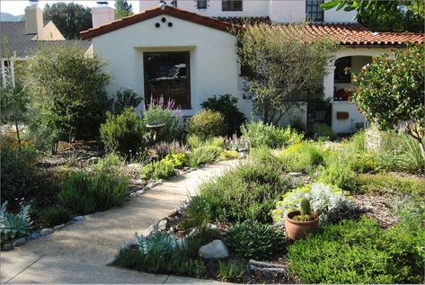 California Front Yard Landscaping Ideas, California Garden Design, California Native Landscape, Los Angeles Landscape, California Landscaping, Native Plant Garden, Native Plant Landscape, California Native Garden, California Backyard