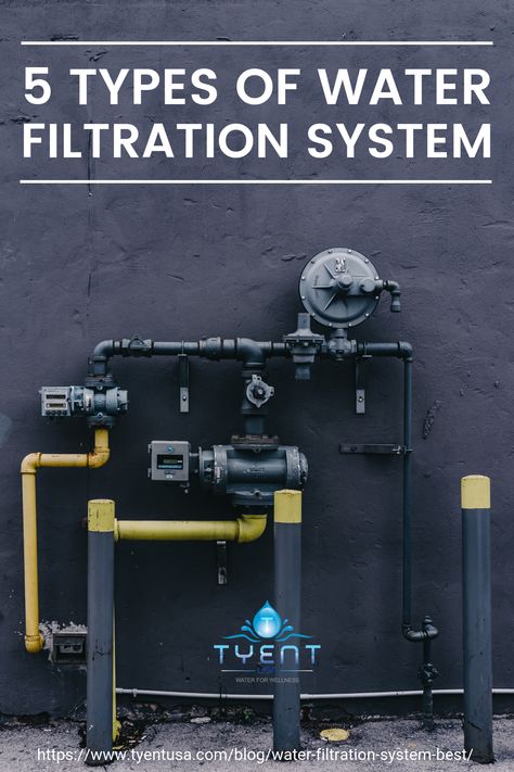 Home Water Filtration System, Whole House Water Filtration System, Hydration Tips, Home Water Filtration, Water To Drink, Arts And Humanities, Drinking More Water, Water Hydration, House Appliances