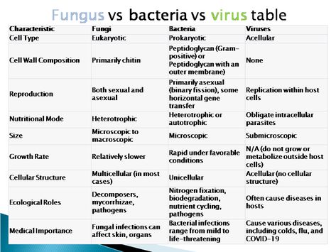 fungus vs bacteria vs virus Learn Biology, Gram Negative Bacteria, Nitrogen Fixation, Medical Quotes, Viral Infection, Cell Wall, Symbiotic Relationships, Bacterial Infection, Fungal Infection