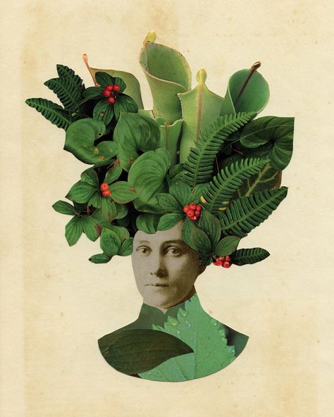 Paper collage by Amber Purdy Posters Ideas, Botanical Collage, Poster Idea, Hybrid Art, Nature Collage, Collage Portrait, Collage Art Projects, Magazine Collage, Collage Art Mixed Media