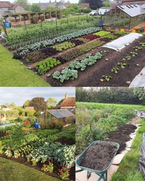 Green Garden Glory  🌎 | No-dig gardening is a sustainable and low-effort gardening method that involves building up your garden beds without disturbing the soil | Facebook Herbalist Garden, No Dig Garden, Planting Layout, Dig Gardens, Growing Gardens, Creative Gardening, Yard Work, Garden Layout, Green Garden