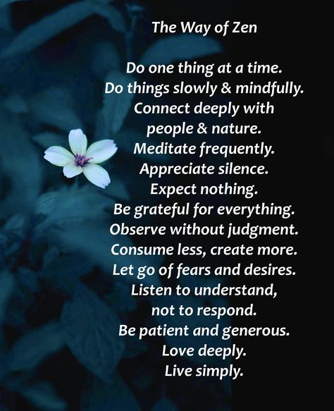 The Way of Zen Zen Philosophy, Zen Quotes, Love Deeply, Spiritual Wisdom, Live Simply, Good Thoughts, Good Advice, Spiritual Quotes, Tao