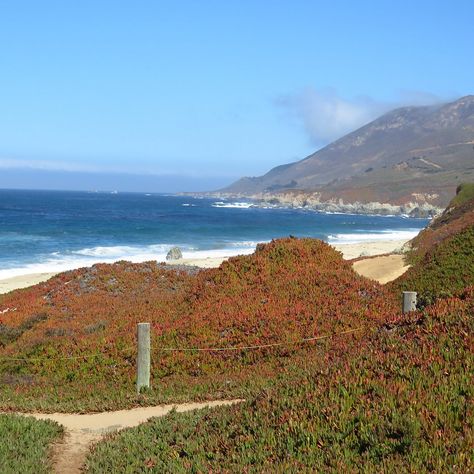 Garrapata State Park - All You Need to Know BEFORE You Go (2024) Big Sur Coastline, Rocky Beach, Big Sur, Beautiful Scenery, Monterey, State Park, State Parks, Trip Advisor, Rocky