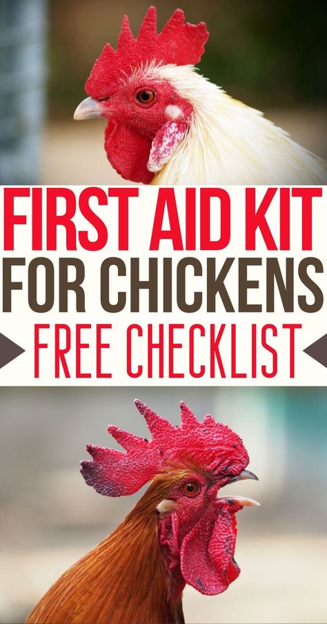 Homesteading Checklist, Raising Chickens Diy, Chicken Illness, Sick Chicken, Chicken Care, Backyard Chicken Coop Plans, Backyard Chicken Farming, Chicken Health, Raising Backyard Chickens