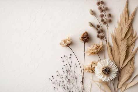 Premium Photo | Background with a dried flower Dried Flowers Wallpaper, Hippie Macbook Wallpaper, Flower Wallpaper For Laptop, Laptop Wallpaper Flowers Desktop Wallpapers, Flower Background Laptop, Flower Wallpaper Laptop, Google Wallpaper Backgrounds Laptop, Flower Desktop Wallpaper, Laptop Wallpaper Desktop Wallpapers