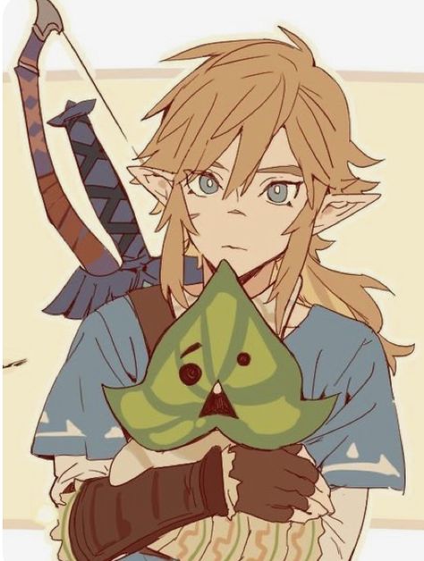 Zelda Drawing, Loz Fanart, Link Botw, Botw Zelda, Link Art, Images Kawaii, Link Zelda, Zelda Art, Legend Of Zelda Breath