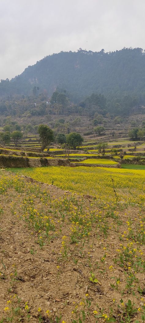 Chamoli uttarakhand devbhoomi Chamoli Uttarakhand, Village Life, Quick Saves