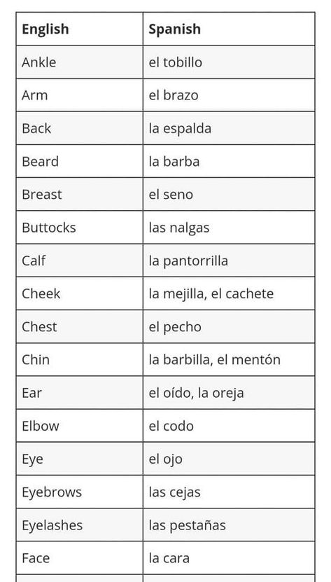 Spanish Vocabulary List, Spanish Help, Spanish Words For Beginners, Basic Spanish Words, Learning Spanish Vocabulary, Learning Languages Tips, Grammar Tips, Writing School, Learn Another Language