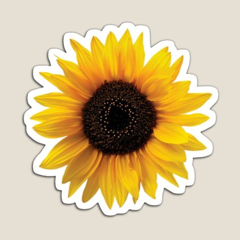 Sunflower Sticker Aesthetic, Sunflower Scrapbook, Sunflower Cartoon, Stickers Sunflower, Sunflower Aesthetic, Types Of Sunflowers, Sunflower Vintage, Sunflower Printable, Sunflower Sticker