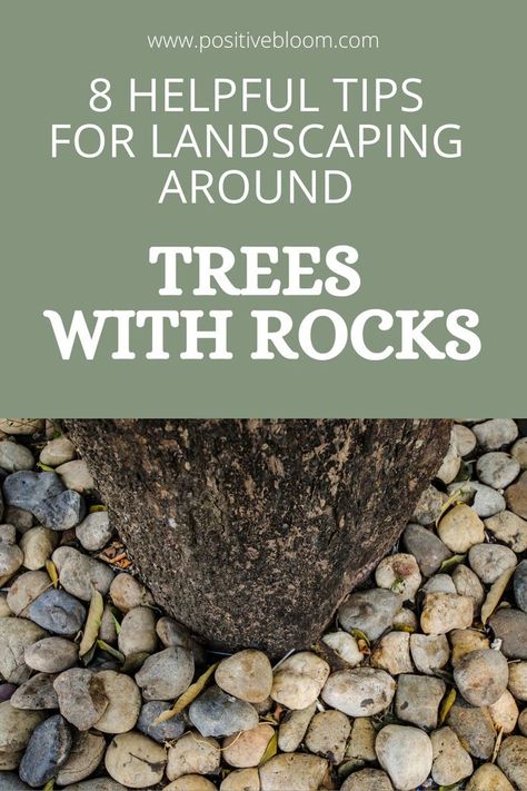 Check out these simple tips for landscaping around trees with rocks and discover some amazing designs you can incorporate into your backyard. Rocked Front Yard Landscaping Ideas, Tree Base Ideas Outdoor, How To Decorate Around A Tree Outside, Rock Landscaping Around Trees, Rock Gardens Around Trees, River Rock Around Trees, Rock Wall Around Tree, Rock Bed Around Tree, Borders Around Trees