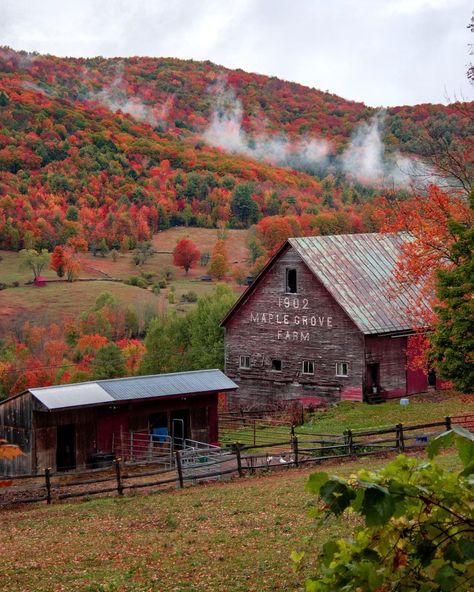 Chandler Anderson on Instagram: “South Royalton - Vermont📍 On my trip Vermont this year I made it a point to photograph red barns. The Maple Grove Farm barn was a must…” Vermont Farms, Country Barns, England Photography, New England States, Maple Grove, Autumn Magic, Autumn Scenes, Autumn Scenery, Red Barns