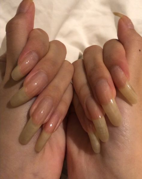 Natural Nails Aesthetic, Unpainted Nails, Long Natural Nails, Long Fingernails, Nails Aesthetic, Strong Nails, My Bed, Fabulous Nails, Perfect Nails