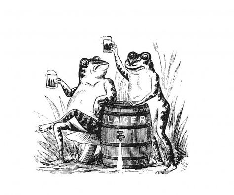 Free image of "Lager Beer Frogs" by Kennet Kjell Johansson Hultman Drinking Animals Illustration, Drinking Beer Illustration, Beer Illustration, Frog Illustration, Beer Logo, Lager Beer, Vintage Humor, Identity Logo, Drinking Beer