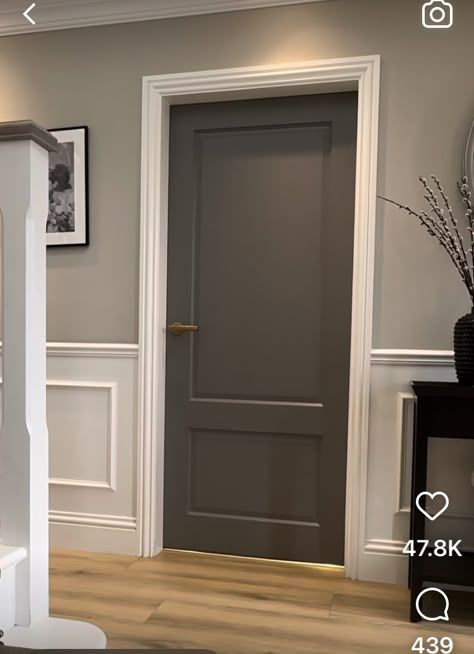 Dark Gray Doors Interior Hallway, Doors And Walls Painted Same Color, Dark Gray Hallway Ideas, Dark Doors Hallway, Graphite Doors Interior, Light Gray Walls With Dark Gray Doors, Dark Indoor Doors, White Doors Dark Trim, Dark Door With White Trim