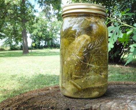 Salt pickles Salt Brine Pickles, Salt Pickles Old Fashion, Polish Pickles Recipe, Crock Pickles, Salt Pickles, Pickles Homemade, Homemaker Tips, Fermenting Foods, Pickled Beets Recipe