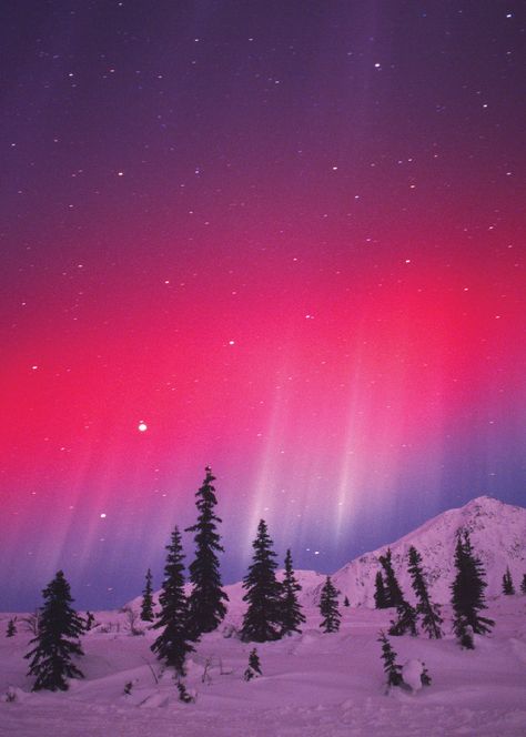 Aurora Alaska, Aurora Borealis Mood Board, Aesthetic Aurora Borealis, Fantasy Aurora Borealis, Winter Sunsets, Pink Aurora Borealis, Alaska Winter, What Was I Thinking, Shoot The Moon