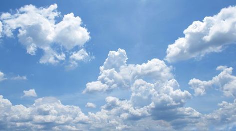 Nimbostratus Clouds, Cirrostratus Clouds, Wall Cloud, Cumulus Clouds, Tired Of People, Blue Sky Clouds, Cloud Photos, Bitcoin News, Blue Sky Background