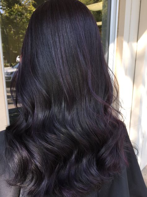 Black Hair With Purple Lowlights, Purple Tinted Black Hair, Black Hair Purple Undertone, Plum And Black Hair, Dark Ash Purple Hair, Hair Colours For Brown Skin Indian, Violet Black Hair Color, Deep Winter Hair Color, Ash Purple Hair