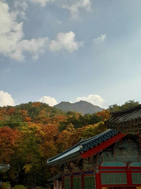 Korea korean temple Asia trip inspo aesthetic mountains travel ideas cinematographic kdrama vibe holidays vacation golden hour Seoul Korean Temple, Korean Vibes, Aesthetic Mountains, Asia Trip, Mountains Travel, Mountain Travel, Asia Travel, Travel Ideas, Golden Hour