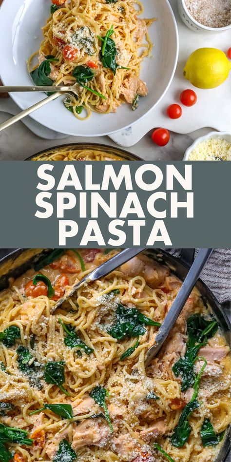 This salmon dinner recipe is creamy good! Our pasta with spinach recipe combines al dente spaghetti, creamy homemade tomato Alfredo, and oven-baked flaky salmon. This dinner idea would also be great for a dinner party too! Get the recipe on the blog. Salmon And Spaghetti Recipe, Spaghetti Salmon Recipes, Salmon Pasta Bake Healthy, Spaghetti With Salmon Recipe, Cream Cheese Salmon Pasta, Salmon Pasta With Sun-dried Tomato Cream Sauce And Spinach, Pasta With Salmon, Creamy Salmon Pasta, Salmon Dinner Recipes