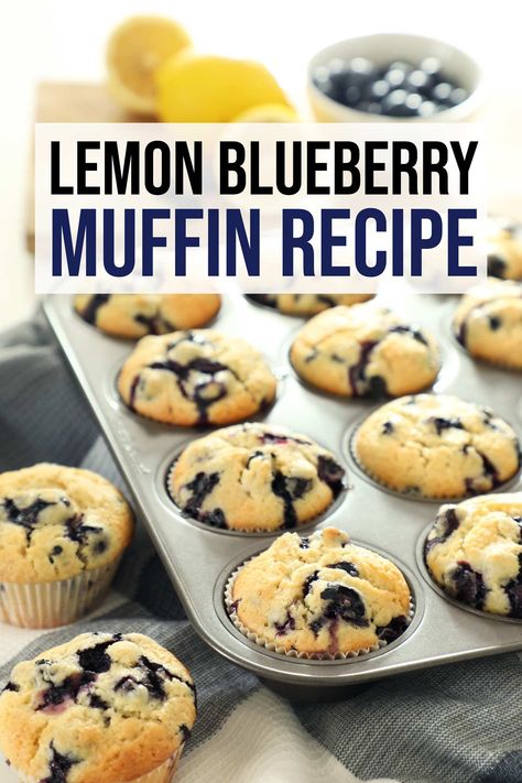 Lemon blueberry muffins Muffin Recipes Lemon Blueberry, Organic Blueberry Muffins, Easy Lemon Blueberry Muffins, Gluten Free Lemon Blueberry Muffins, Healthy Lemon Blueberry Muffins, Blueberry Muffins Easy, Blueberry Muffins From Scratch, Frozen Blueberry Muffins, Cinn Rolls