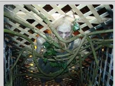 Creepy Asylum Party, Halloween Ceiling, Halloween Maze, Halloween Forum, Halloween Decorations Outdoor, Mascaras Halloween, Casa Halloween, Haunted House Props, Adornos Halloween