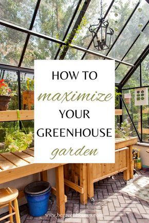 Interior Of Greenhouse, Diy Greenhouse Shelves Potting Benches, Potting Shed Layout, Greenhouse Interiors Shelving, Shelves In Greenhouse, Green House Interior Ideas Planters, Greenhouse Design Interior, Greenhouse Shelving Ideas Interiors, Greenhouse Shelves Ideas